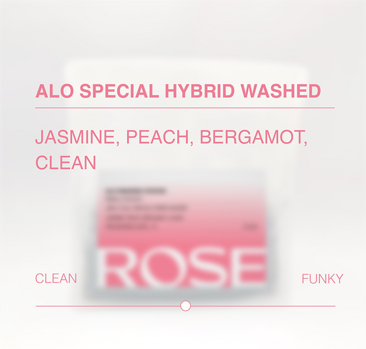 Alo Special Hybrid Washed