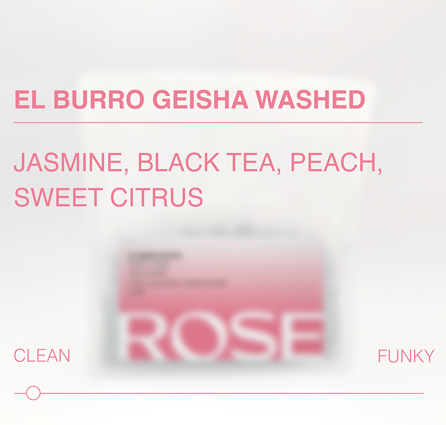 El Burro Geisha Washed