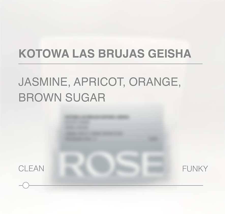 Kotowa Las Brujas Geisha Clean Natural
