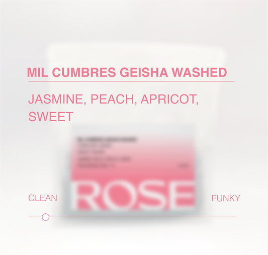 Mil Cumbres Geisha Washed