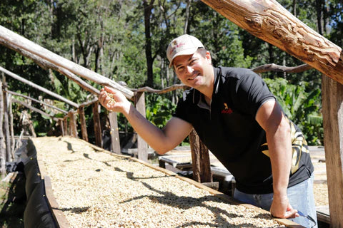 Abu Geisha Washed #3275