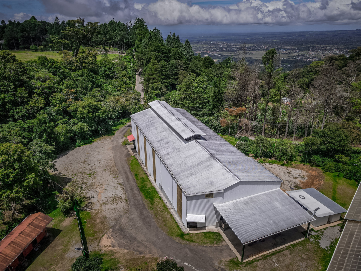 Agricola Geisha Anaerobic Washed