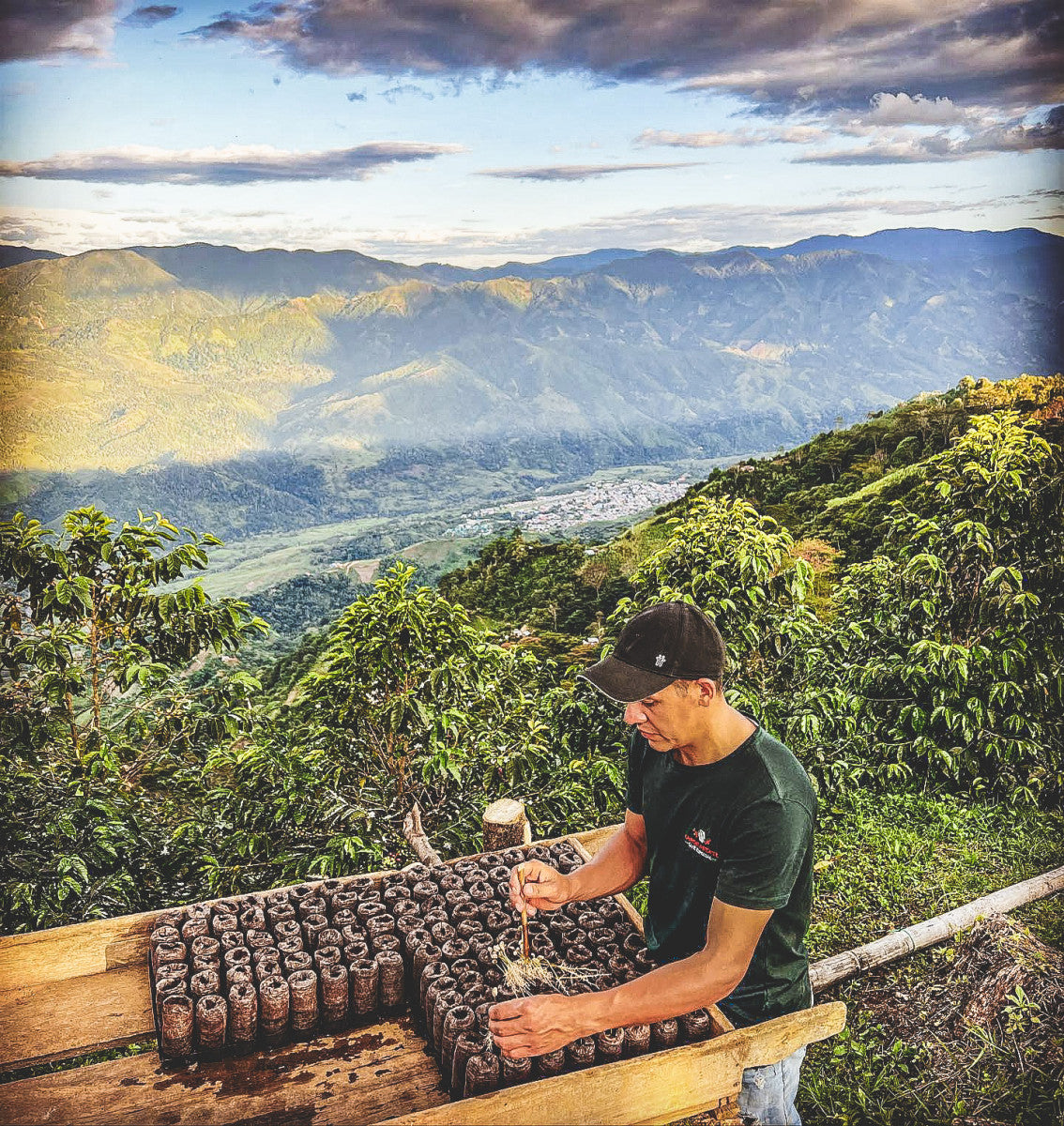 El Jardin Pink Bourbon Anaerobic Washed