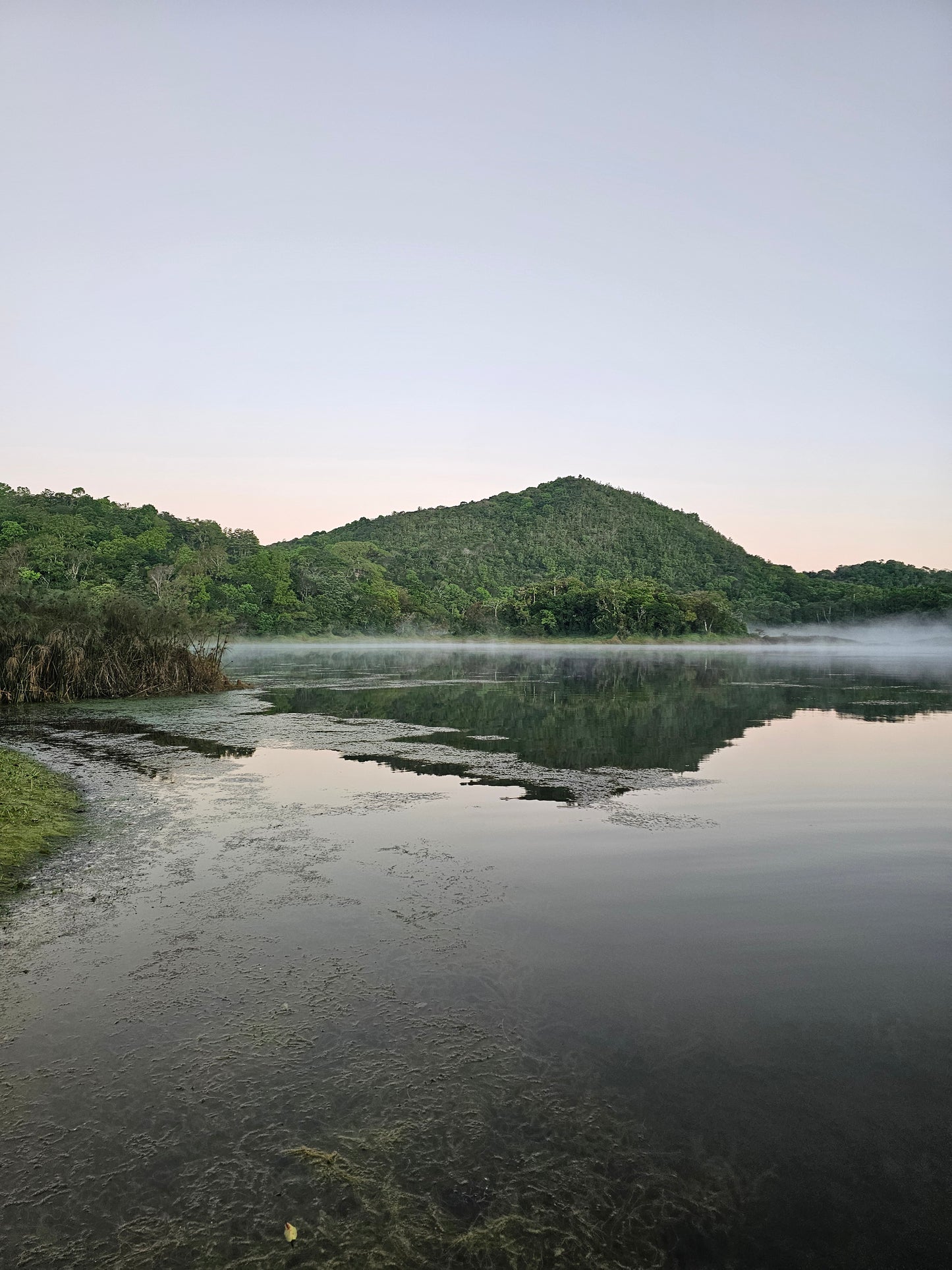 Janson Natural Geisha #942