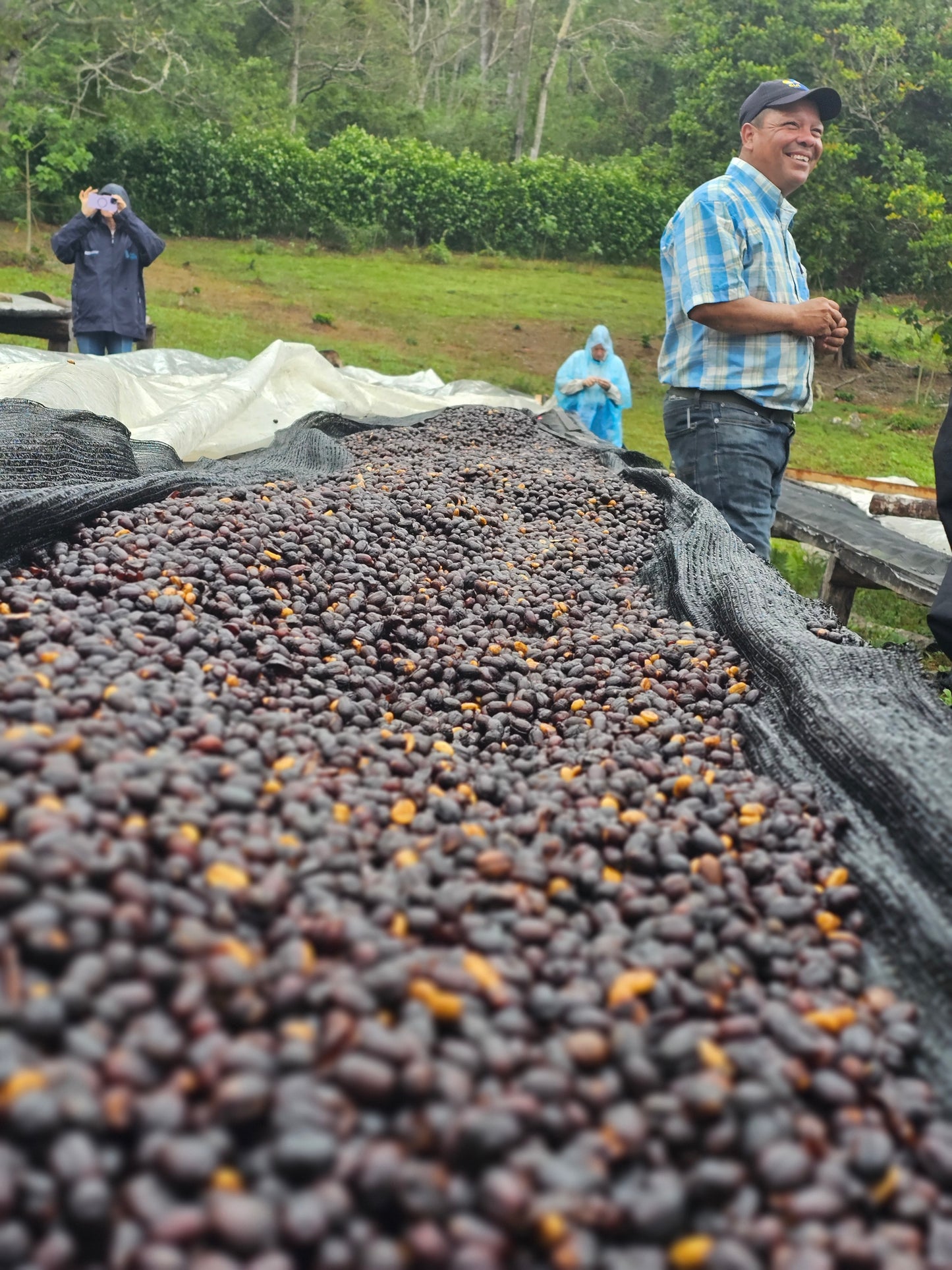 Abu Geisha Washed #3275