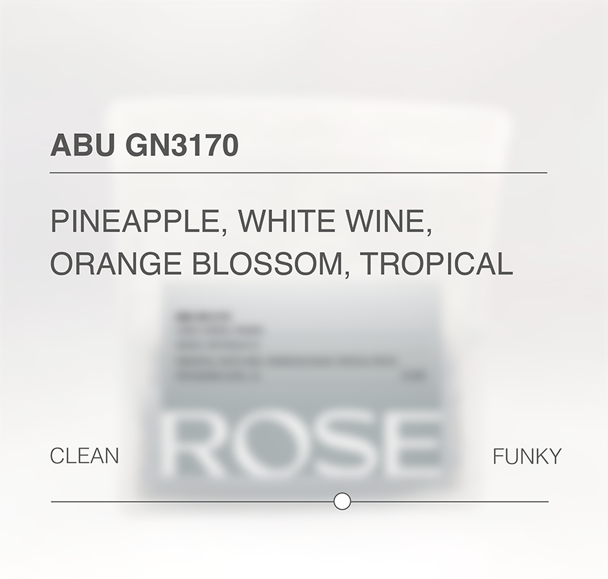 Abu Geisha Anaerobic Natural #3170