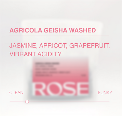 Agricola Geisha Anaerobic Washed