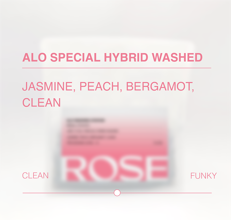Alo Special Hybrid Washed