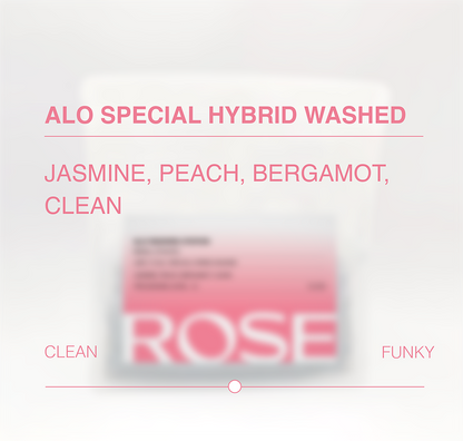 Alo Special Hybrid Washed