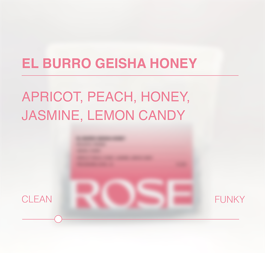 El Burro Geisha Honey