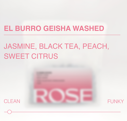 El Burro Geisha Washed