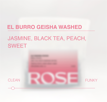 El Burro Geisha Washed