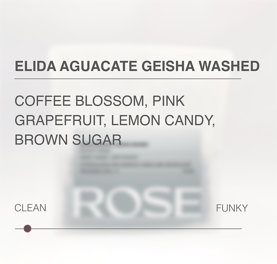 Elida Aguacate Geisha Washed DRD
