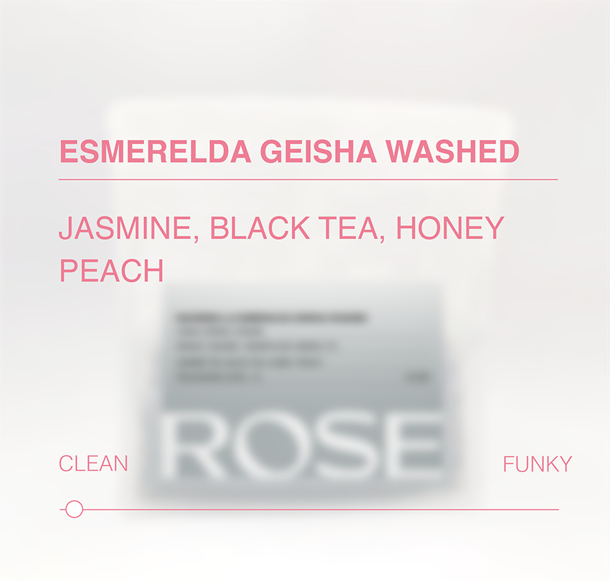 Hacienda La Esmeralda Geisha Washed