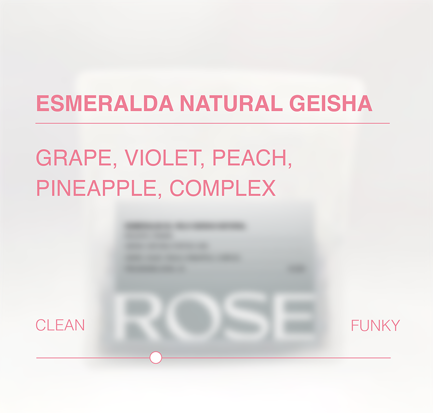 Hacienda La Esmeralda Geisha El Velo Natural