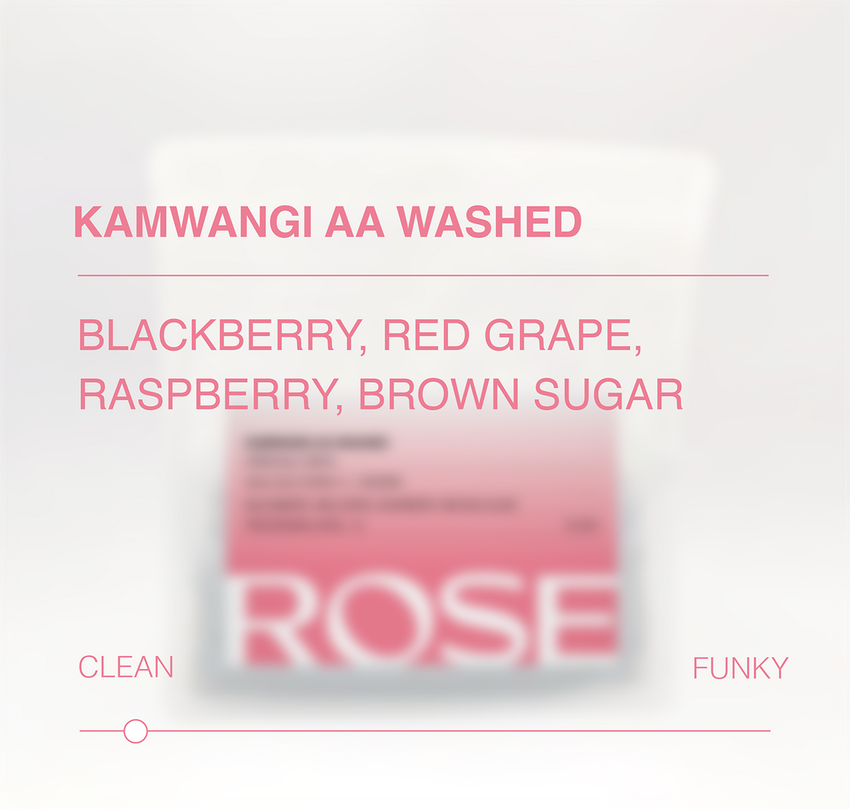 Kamwangi AA Washed