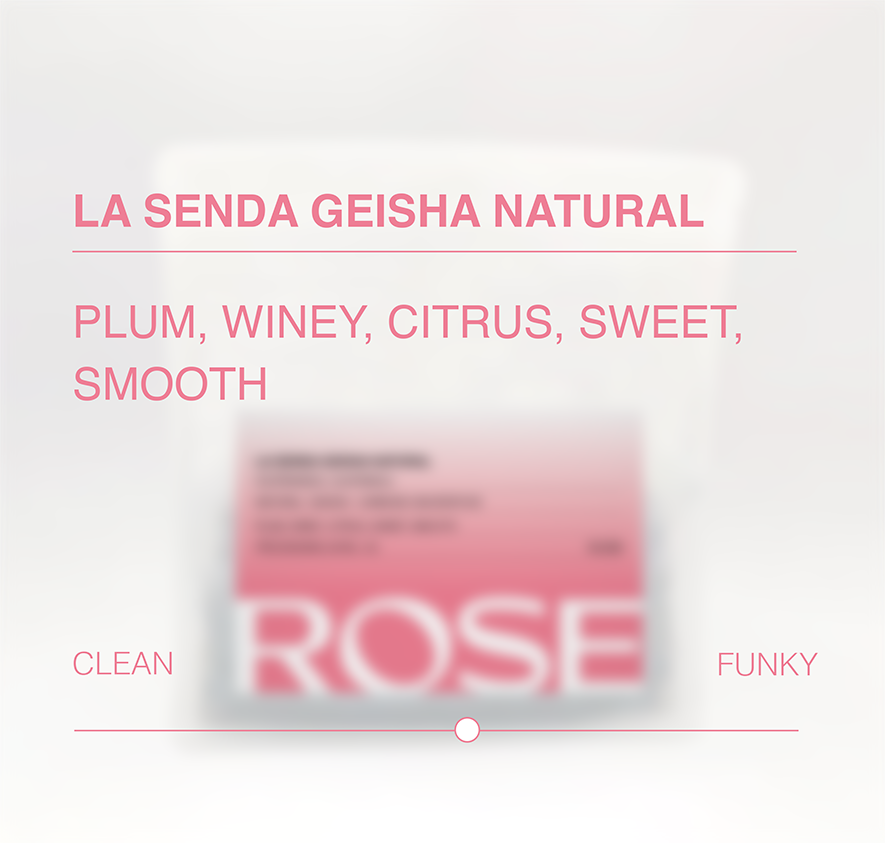 La Senda Natural Anaerobic Geisha