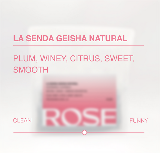 La Senda Natural Anaerobic Geisha