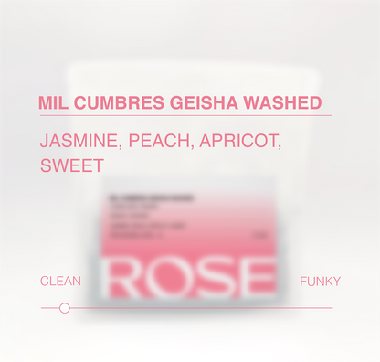 Mil Cumbres Geisha Washed