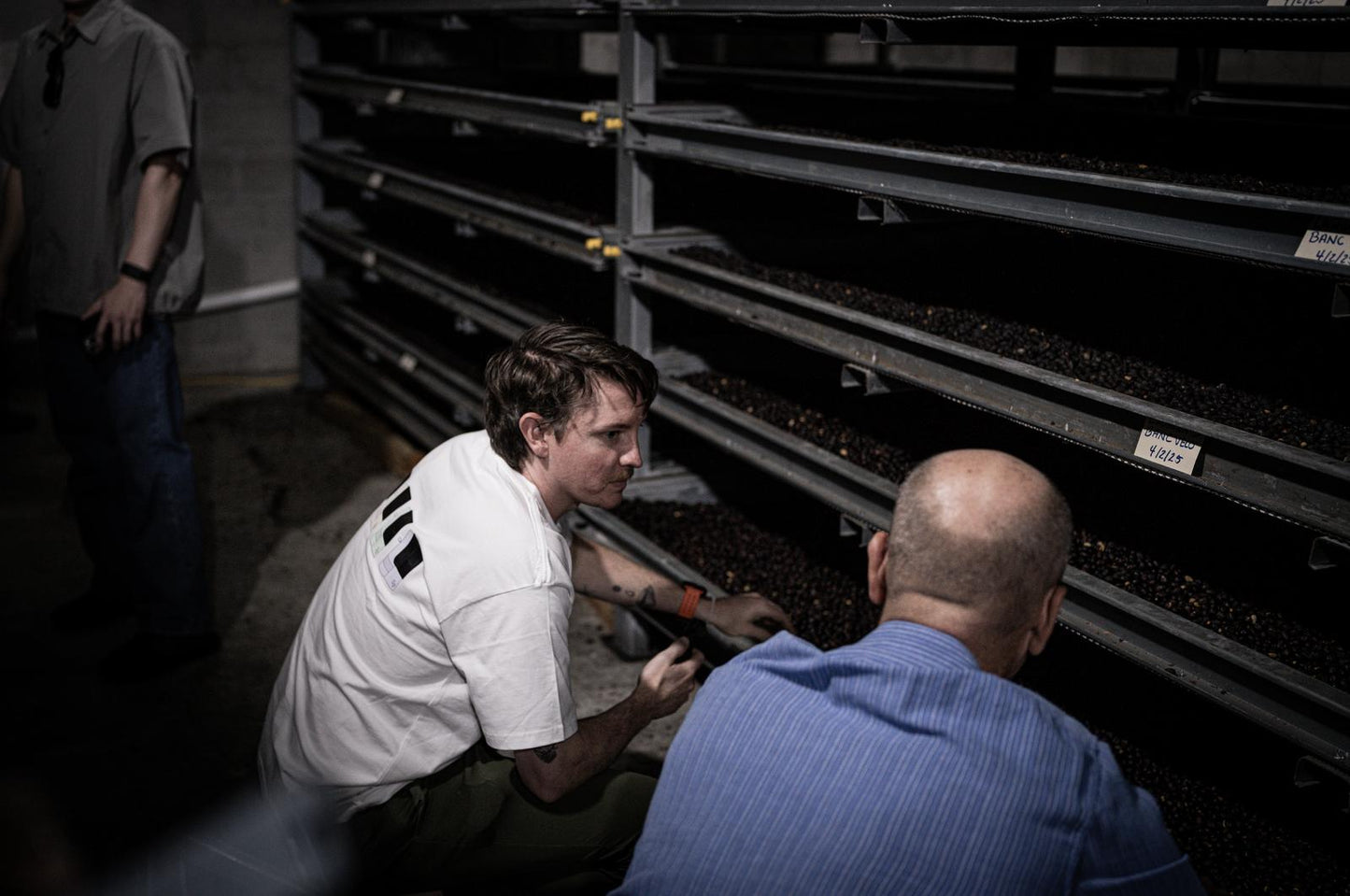 Hacienda La Esmeralda Geisha Washed