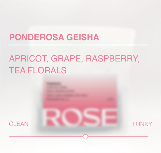 Ponderosa Geisha Anaerobic Natural