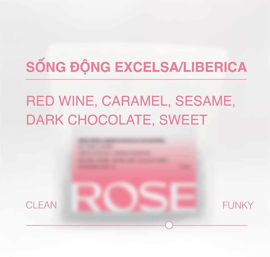 Sống Động Liberica/Excelsa CM Natural