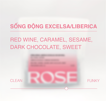 Sống Động Liberica/Excelsa CM Natural