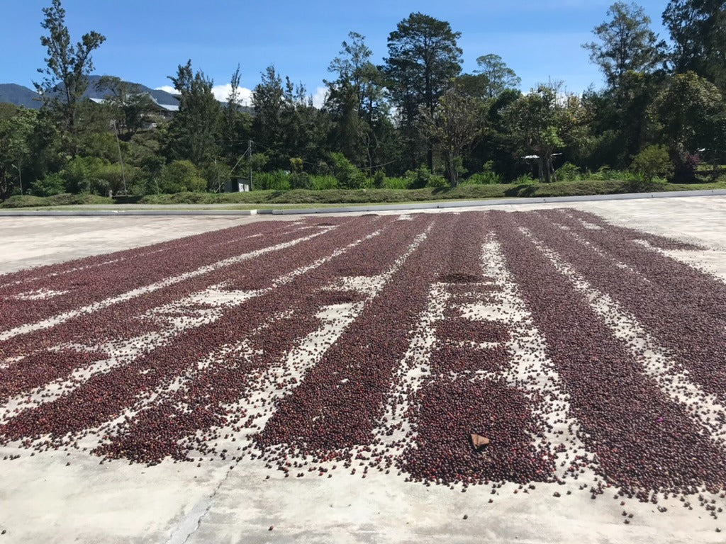 Janson Natural Geisha #942