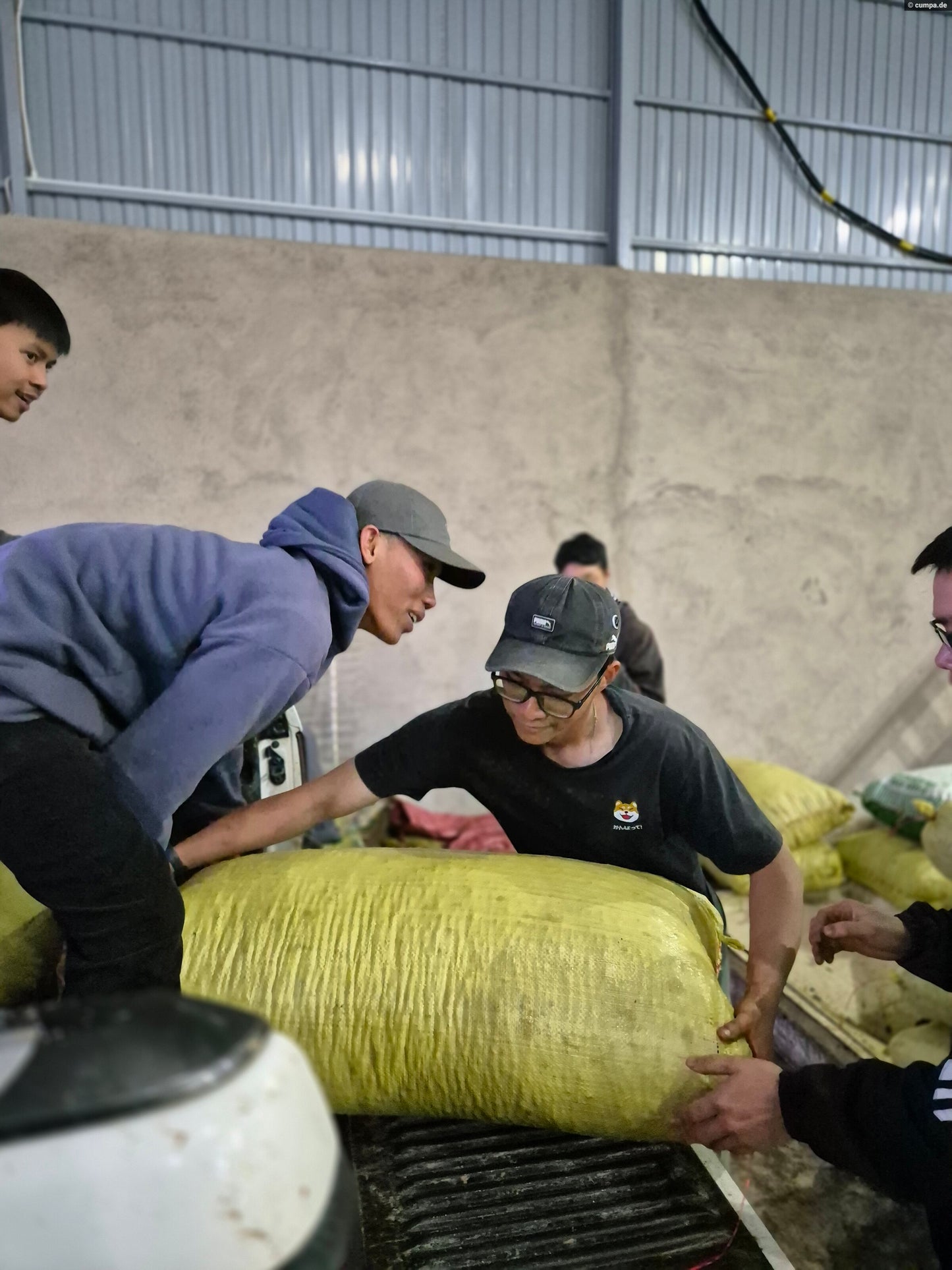 Sống Động Liberica/Excelsa CM Natural