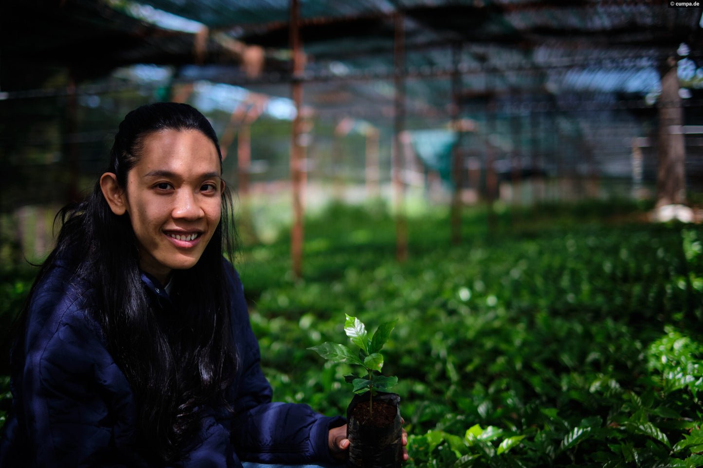 Sống Động Liberica/Excelsa CM Natural